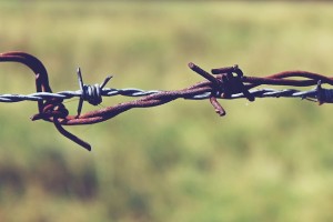 barbed-wire-887275_640